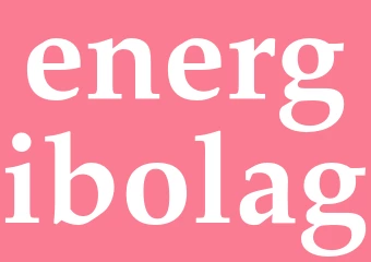 Synonym energibolag