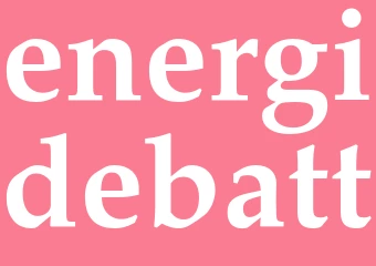 Synonym energidebatt