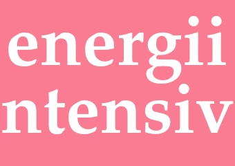 Synonym energiintensiv