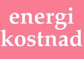 Synonym energikostnad
