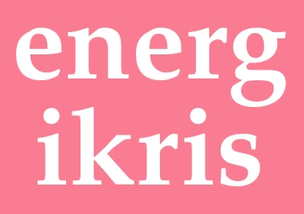 Synonym energikris
