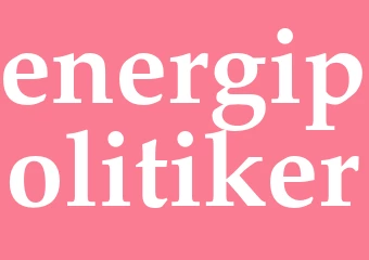 Synonym energipolitiker