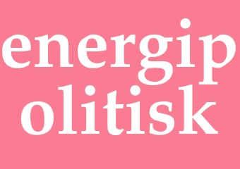 Synonym energipolitisk