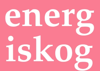 Synonym energiskog