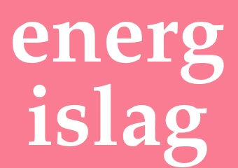 Synonym energislag