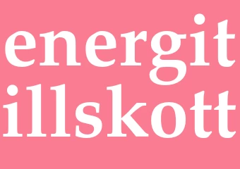 Synonym energitillskott