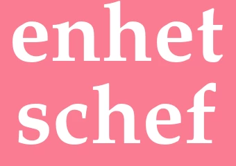 Synonym enhetschef