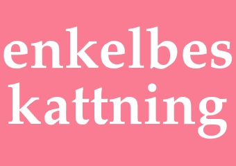 Synonym enkelbeskattning