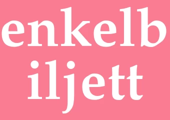 Synonym enkelbiljett