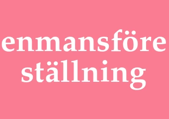Synonym enmansföreställning