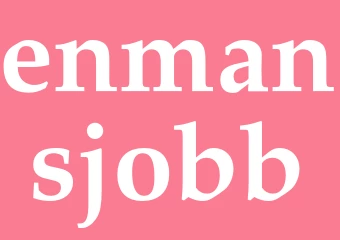 Synonym enmansjobb