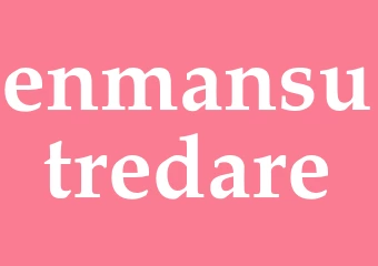 Synonym enmansutredare