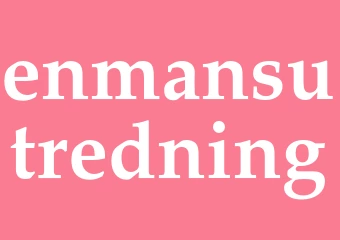 Synonym enmansutredning