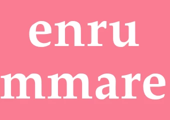 Synonym enrummare