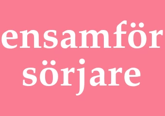 Synonym ensamförsörjare