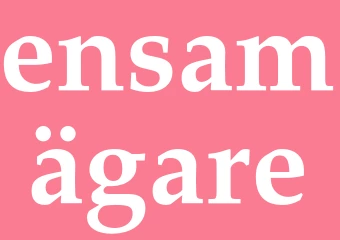 Synonym ensamägare