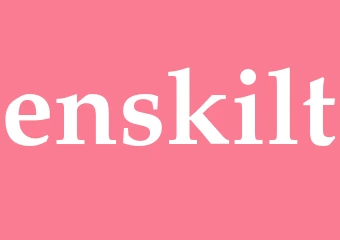 Synonym enskilt