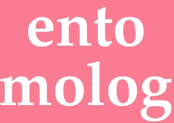 Synonym entomolog