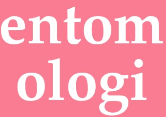 Synonym entomologi