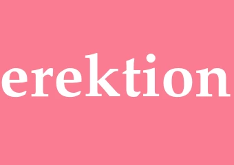 Synonym erektion