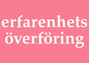 Synonym erfarenhetsöverföring