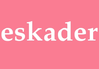 Synonym eskader