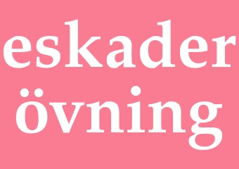 Synonym eskaderövning