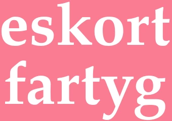 Synonym eskortfartyg