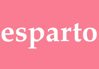 Synonym esparto