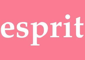 Synonym esprit
