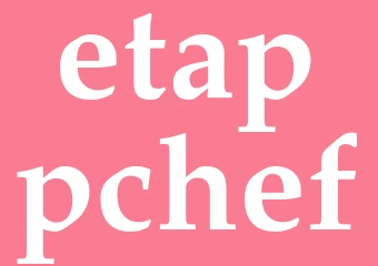 Synonym etappchef