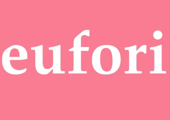 Synonym eufori
