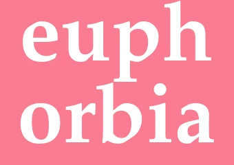 Synonym euphorbia
