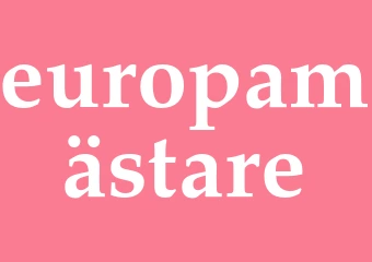 Synonym europamästare