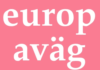 Synonym europaväg
