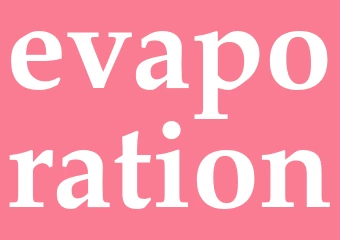 Synonym evaporation