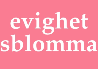 Synonym evighetsblomma