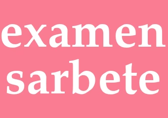 Synonym examensarbete