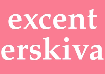 Synonym excenterskiva