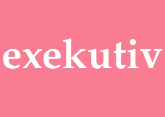 Synonym exekutiv