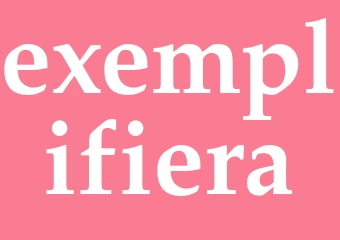 Synonym exemplifiera