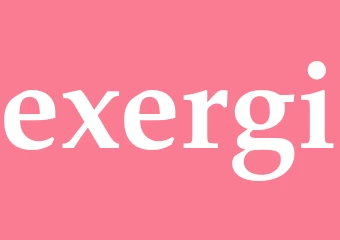 Synonym exergi