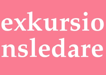 Synonym exkursionsledare