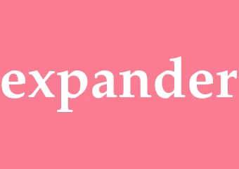 Synonym expander