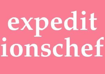 Synonym expeditionschef