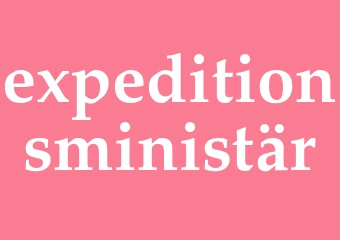 Synonym expeditionsministär