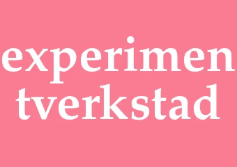 Synonym experimentverkstad