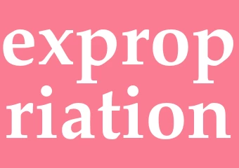 Synonym expropriation