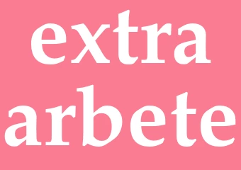 Synonym extraarbete