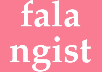 Synonym falangist
